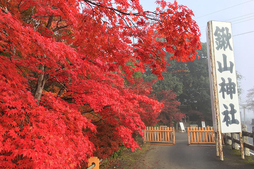 京の秋色２.JPG