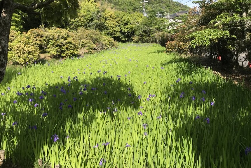 大田神社_リサイズ4.jpg