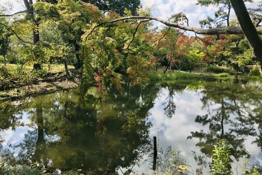 植物園_リサイズ2.jpg