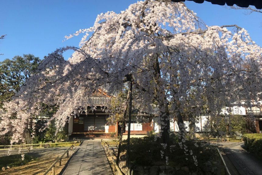 上品蓮台寺_リサイズ済2.jpg