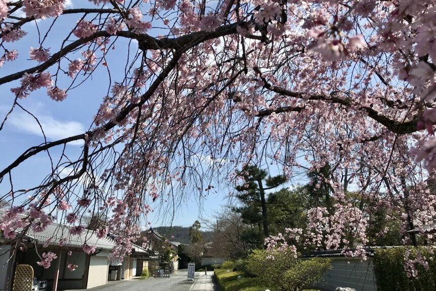 妙満寺_リサイズ4.jpg