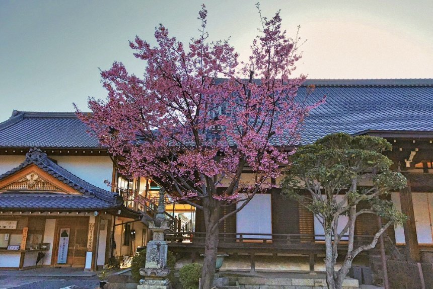 清浄華院_リサイズ済.jpg