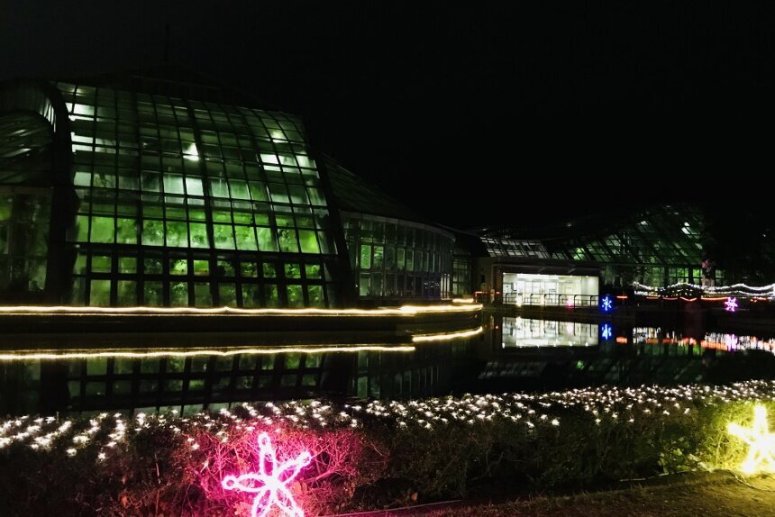 植物園_リサイズ2.jpg