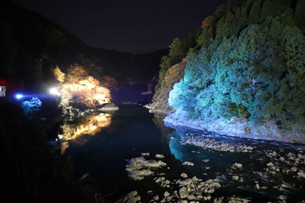 乗車レポート 嵯峨野トロッコ列車のライトアップ 光の幻想列車 きょうのちしん 京都知新 Mbs 毎日放送