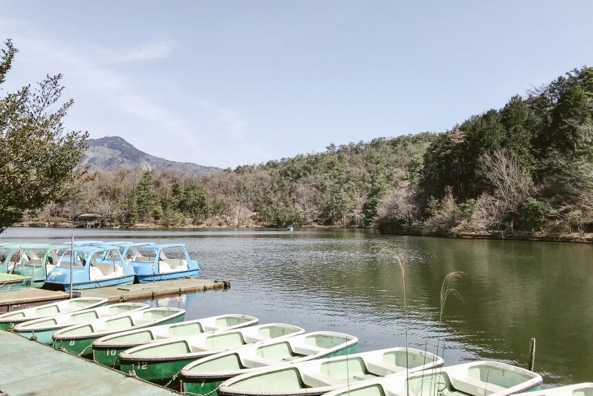 宝が池公園_リサイズ2.jpg