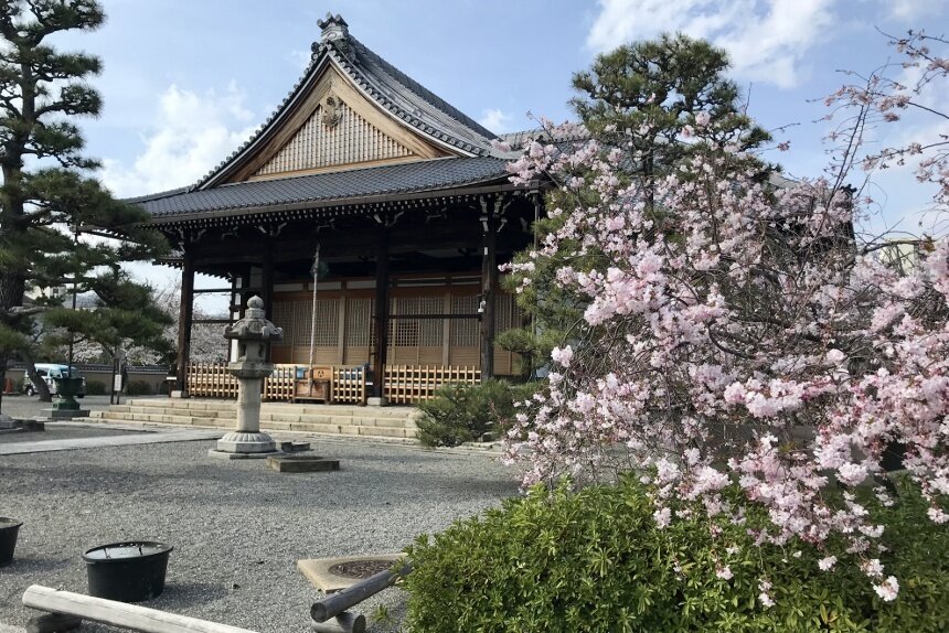 妙蓮寺_リサイズ3.jpg