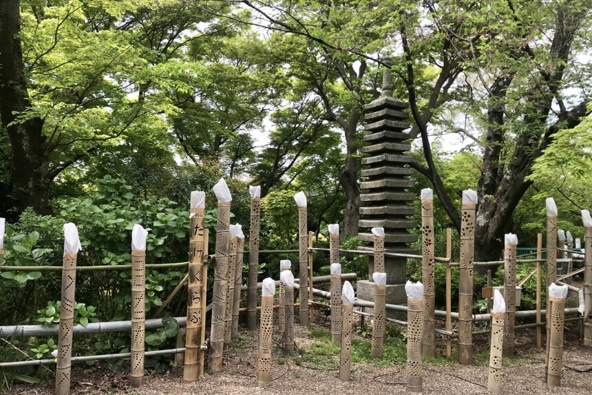 男山展望台_2.jpg
