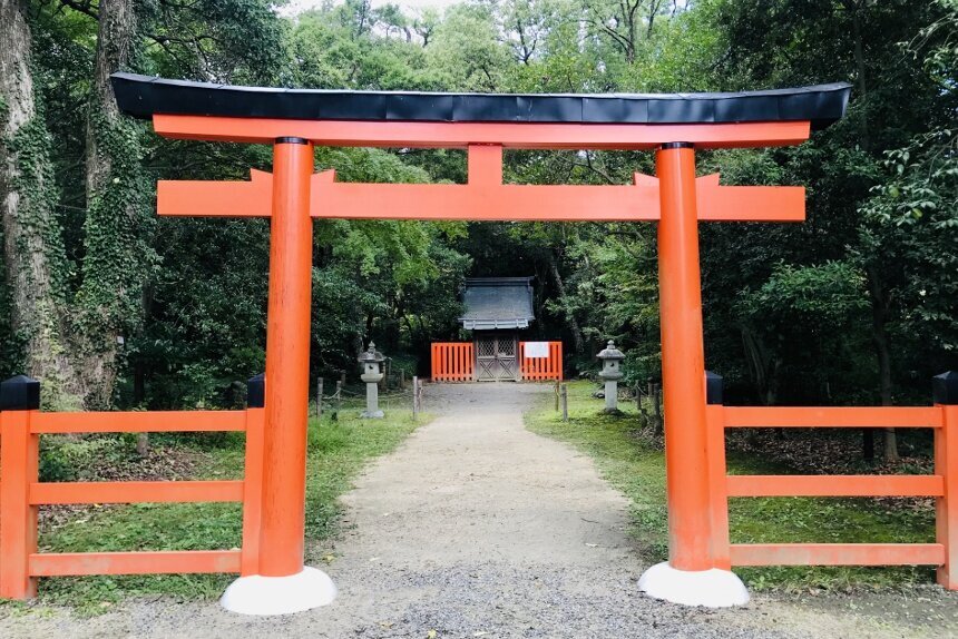 植物園_リサイズ3.jpg