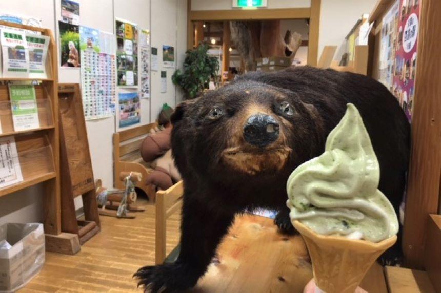 熊とソフトクリーム２.JPG