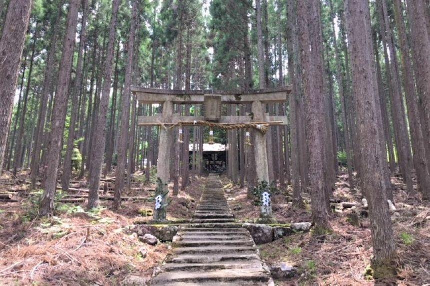 鳥居賀茂神社.JPG