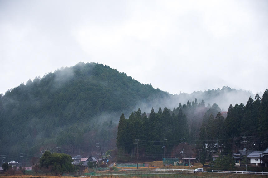 朝の霧2.jpg