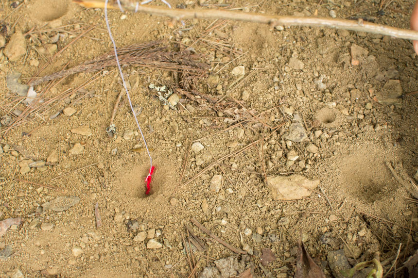 DSC_3552.jpg