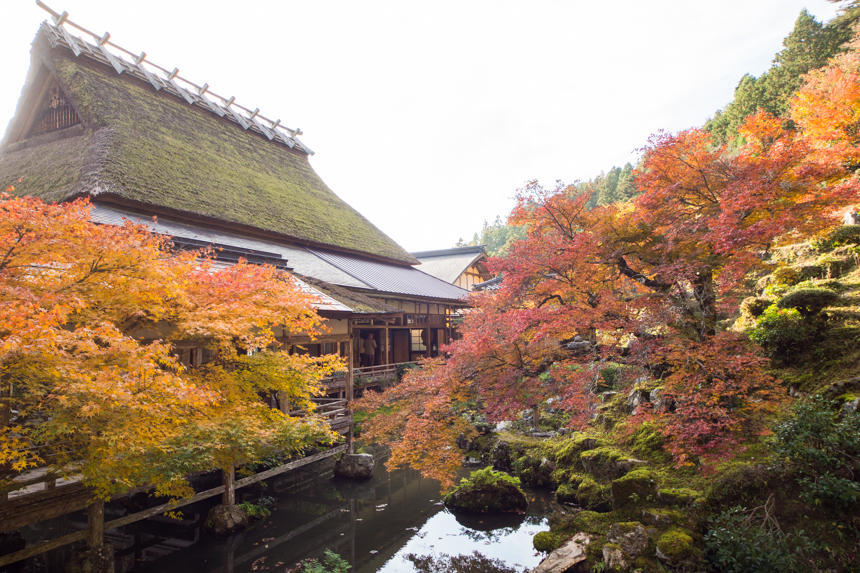 常照皇寺紅葉２.jpg