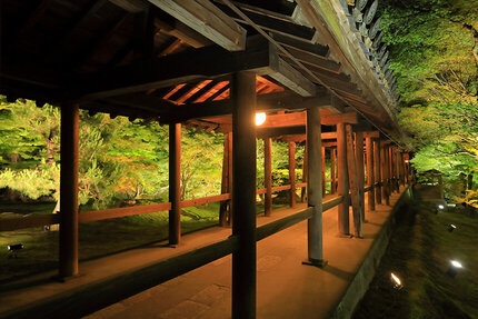 初夏の夜の絶景 東福寺の「国宝＆青もみじライトアップ」が幻想的！