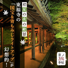 初夏の夜の絶景 東福寺の「国宝＆青もみじライトアップ」が幻想的！