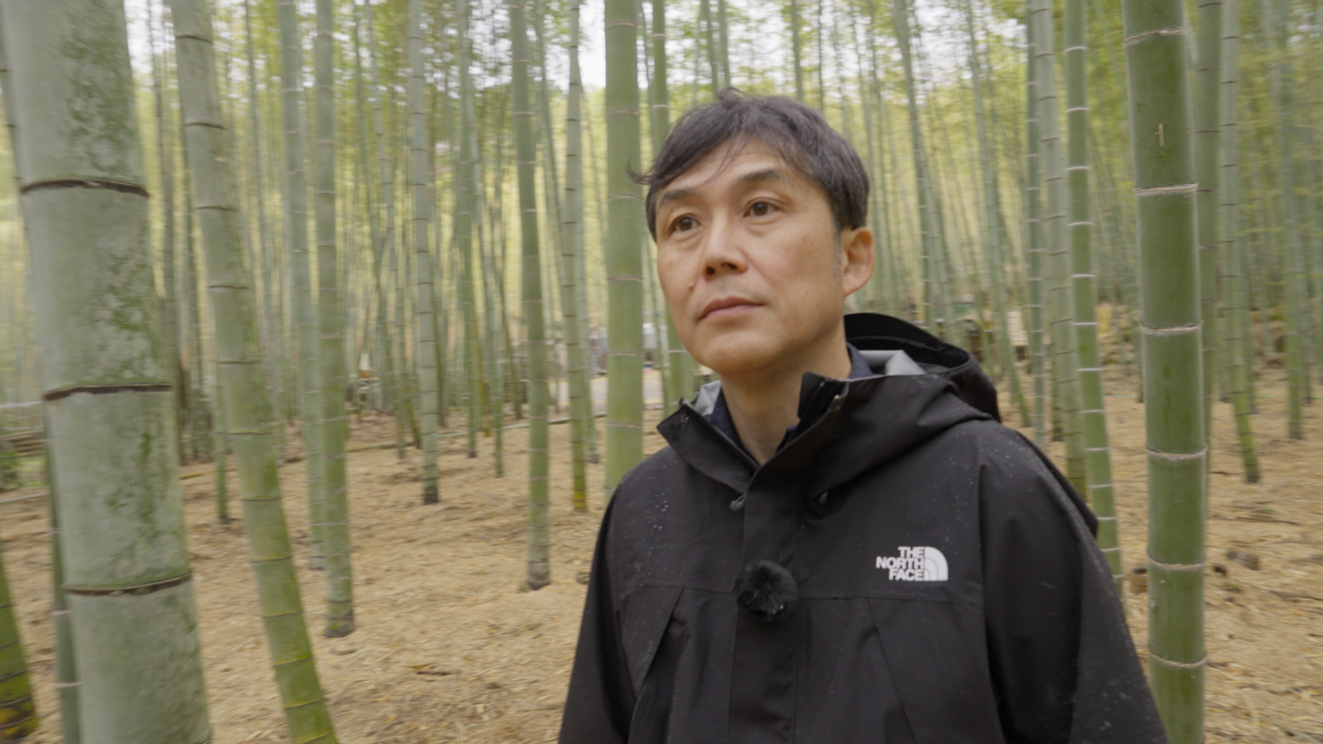 「アドプランツコーポレーション」代表・増永滋生