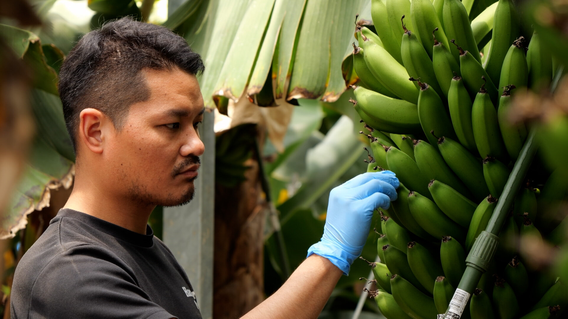 c6f55f8fe488f71e90a3b29a11c12a