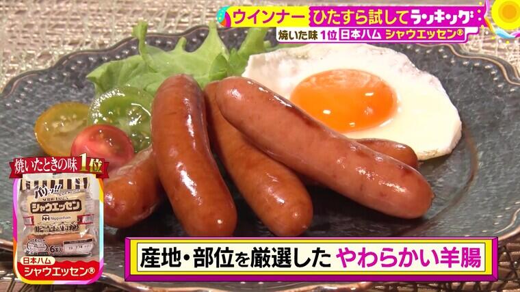 419tameshiteR02 - frame at 8m5s.jpg