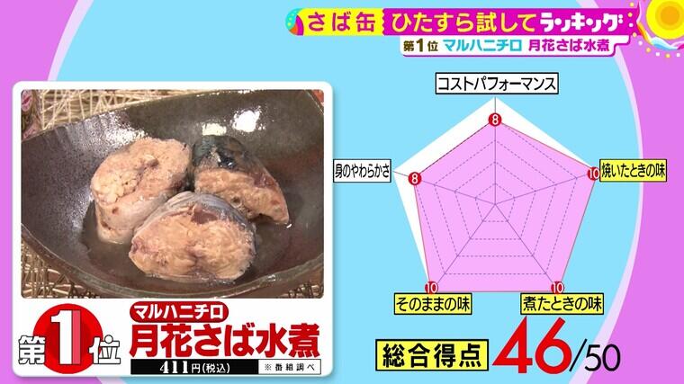 430tameshiteR04 - frame at 0m40s.jpg