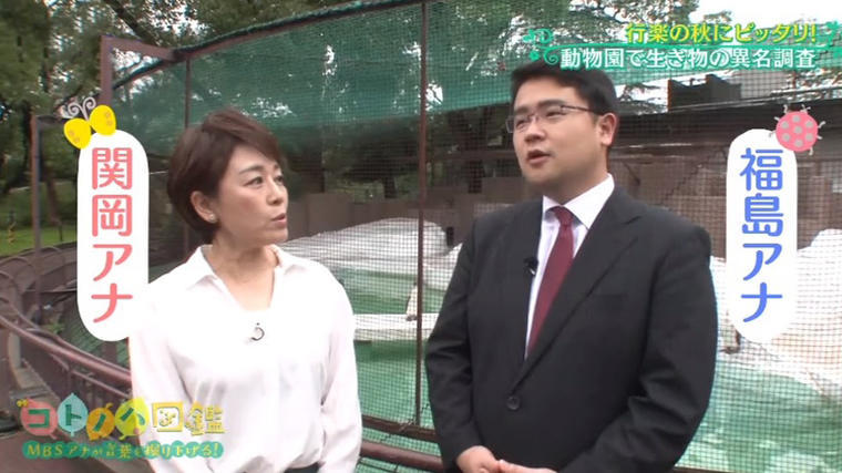 ゴミパンダ 海の ダイヤ サファイア って何 明日誰かに言いたくなる 異名 を調査 Mbsコラム Goo ニュース ゴミパンダ 海の ダイヤ サファイア って何 明日誰かに言いたくなる 異名 を調査 Mbsコラム Goo ニュース