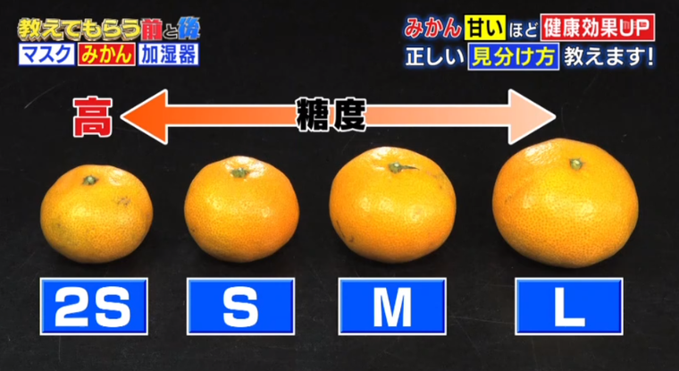 生活習慣病予防に効果的なのは 酸っぱいみかん と 甘いみかん のどっち 5分で読める 教えてもらう前と後 Mbsコラム