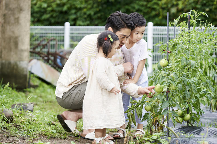 水やりには我慢が必要 きちんと学べば失敗しない家庭菜園 5分で読める 教えてもらう前と後 Mbsコラム