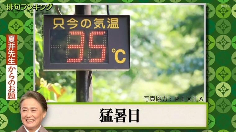夏井先生VSみちょぱ 遺恨バトル再び! , もう一度楽しむプレバト