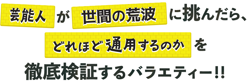 芸能人が世間の荒波に挑んだら、どれほど通用するのかを徹底検証するバラエティー!!