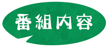 番組内容