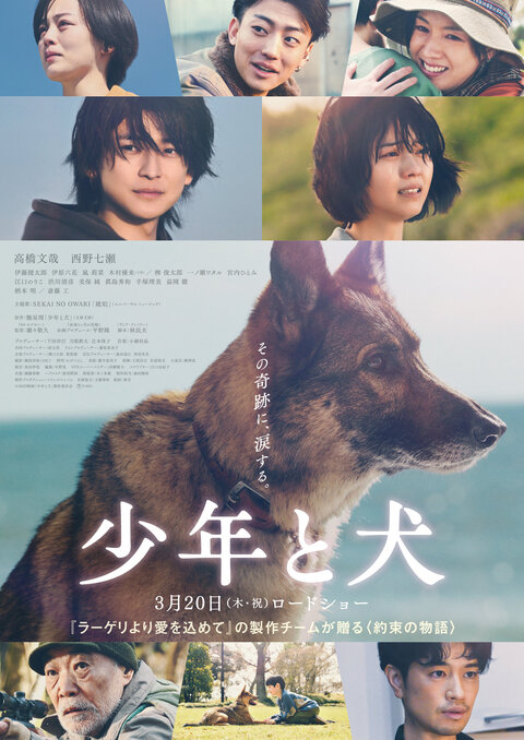映画 少年と犬