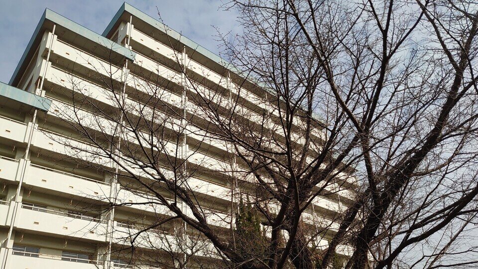 「廃墟」公務員宿舎の価値は《53億円相当》元不動産業者の国会議員が東京・新宿区の一等地で見たのは「まさに出物」なぜ10年塩漬けに...