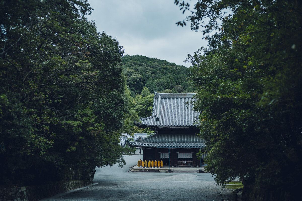_46A8853.jpg