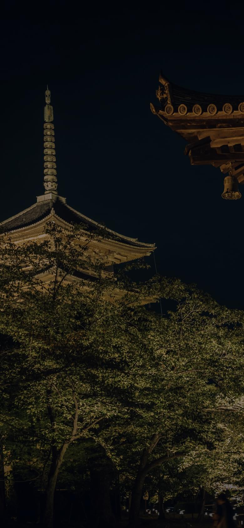東寺の写真