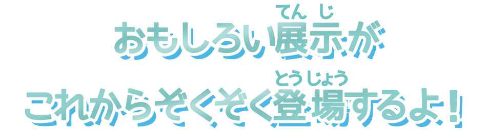 このほかにもたくさんの展示があるよ