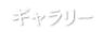 フォトギャラリー