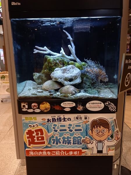 お魚博士水槽.jpg