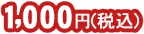 1,000円(税込)
