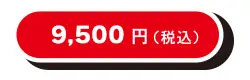 9,500円(税込)