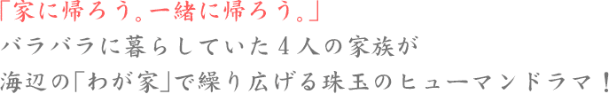 「家に帰ろう。一緒に帰ろう。」バラバラに暮らしていた4人の家族が海辺の「わが家」で繰り広げる、珠玉のヒューマンドラマ!