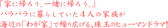 わが家 2015年1月4日(日)よる9時